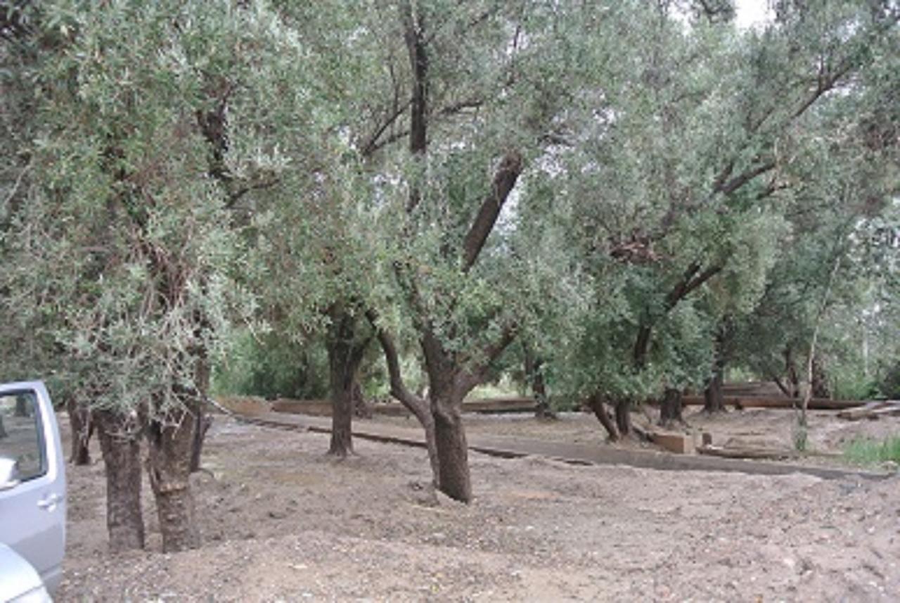 Riad Anma Taroudant Buitenkant foto